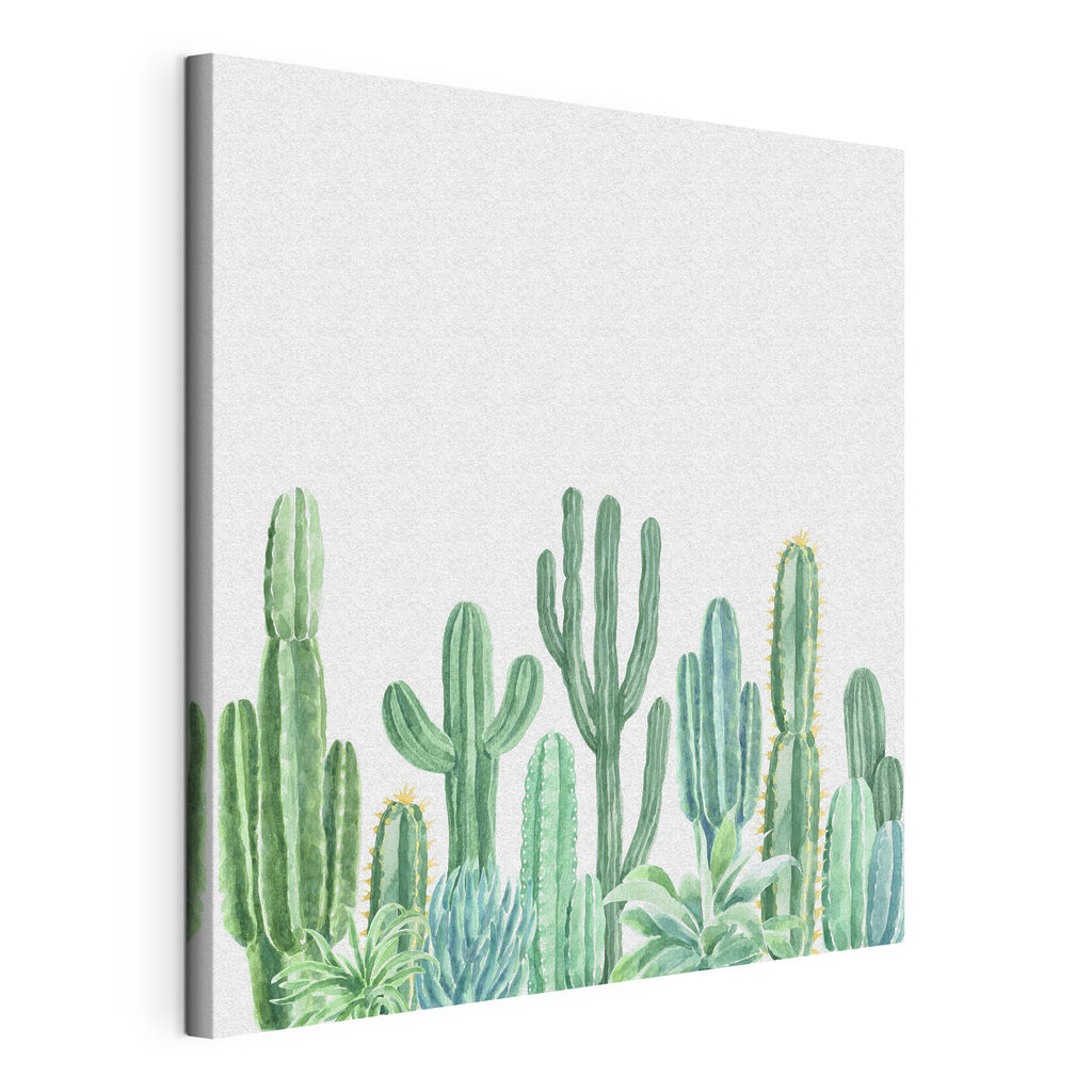 Group of cactuses and succulents Group of cactuses and succulents