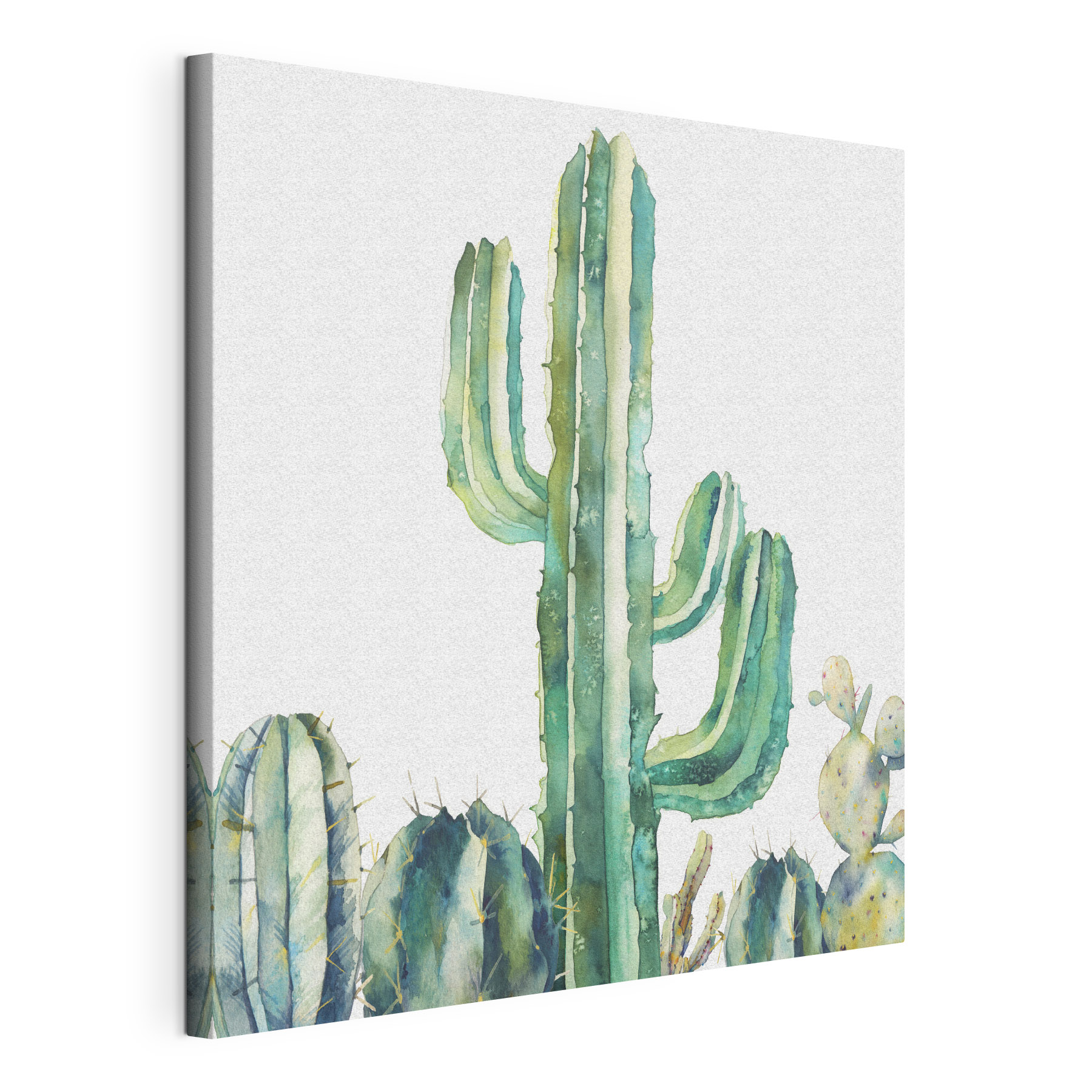 Watercolor of a cactus Watercolor of a cactus