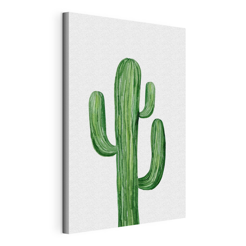 Green cactus on a white background Green cactus on a white background