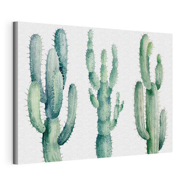 Cuadros Grupo de cactus sobre fondo blanco (SKU: s36266) Cuadros Cuadros Grupo de cactus sobre fondo blanco (SKU: s36266)