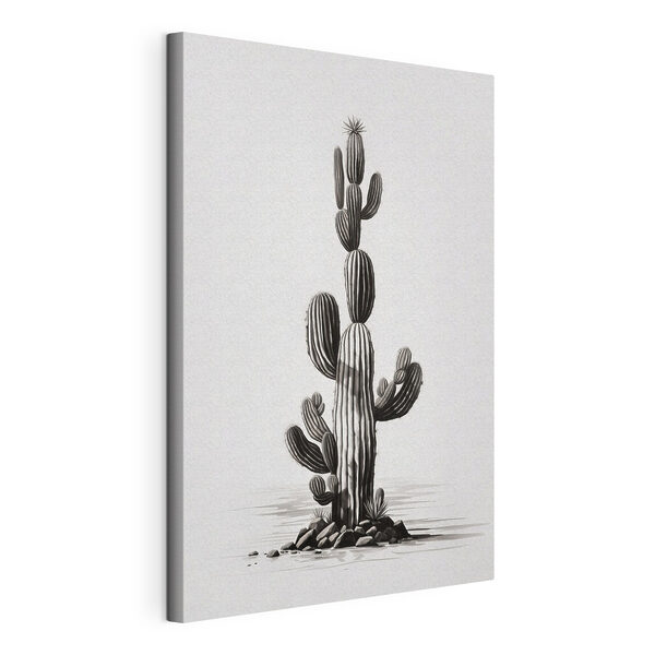 Cuadros Cactus sobre fondo blanco (SKU: s36268) Cuadros Cuadros Cactus sobre fondo blanco (SKU: s36268)