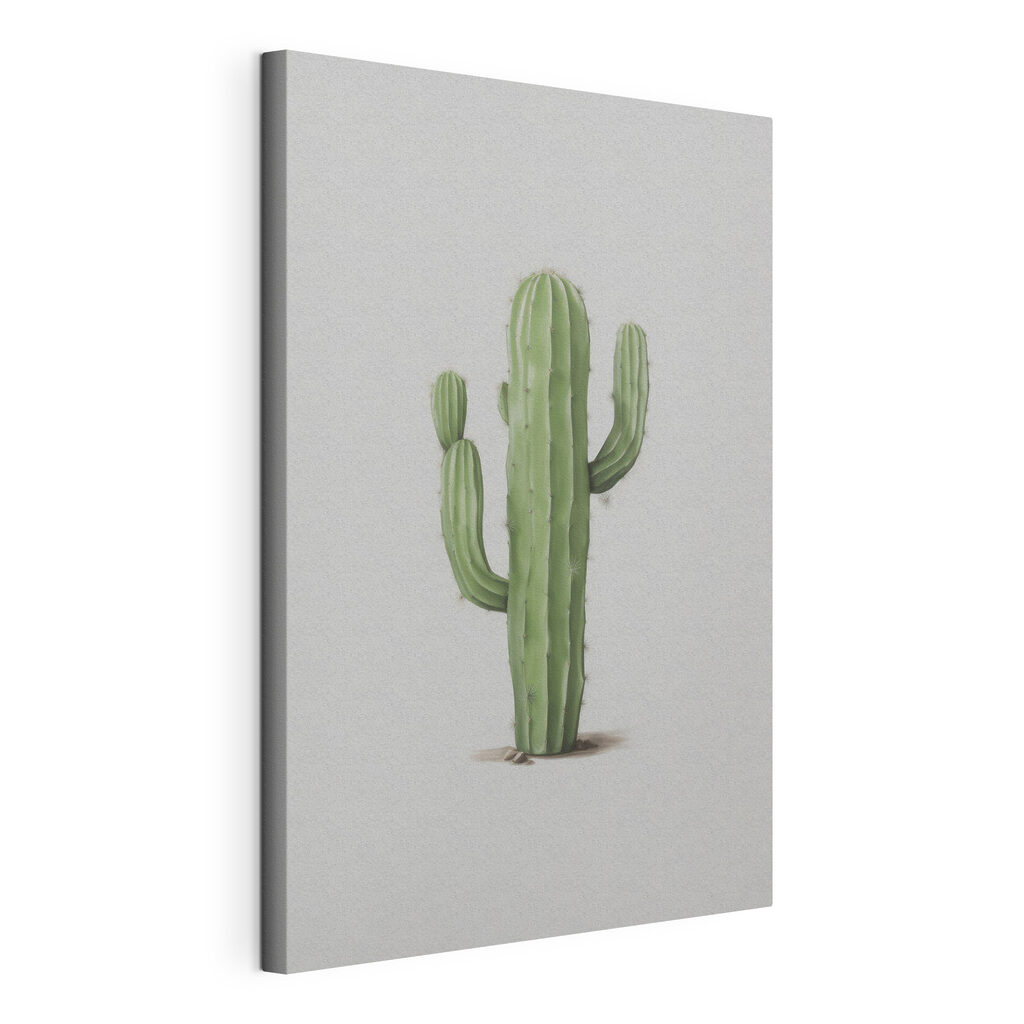 Cactus with needles on it Cactus with needles on it