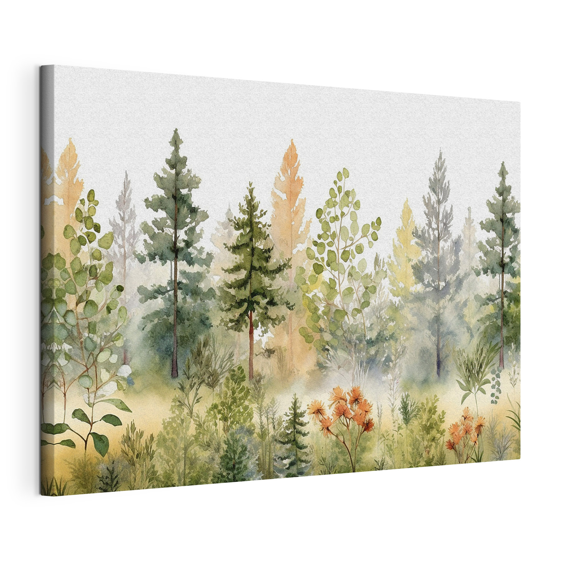 Watercolor painting of trees and plants Watercolor painting of trees and plants