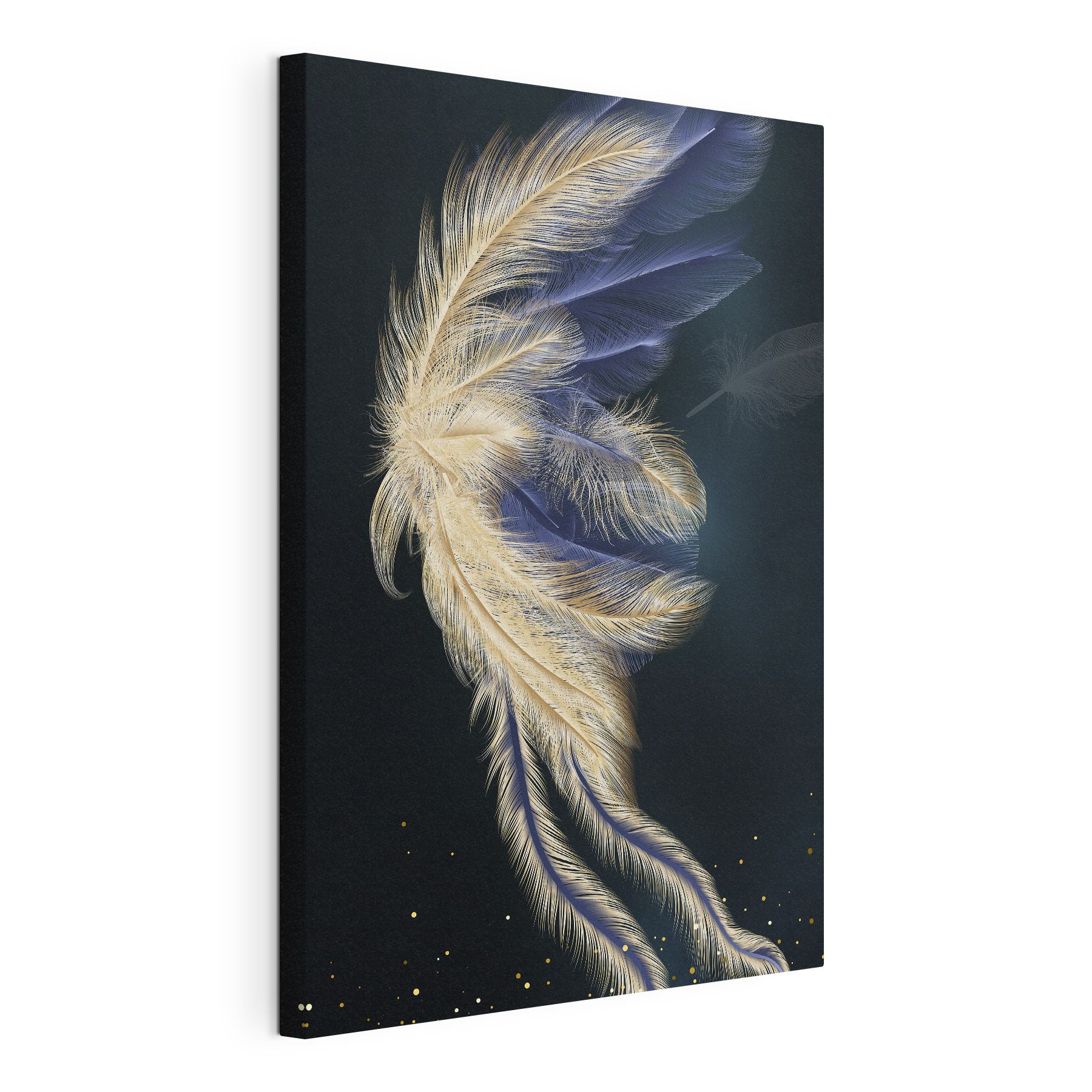 Delicate feather dance in the dark Delicate feather dance in the dark