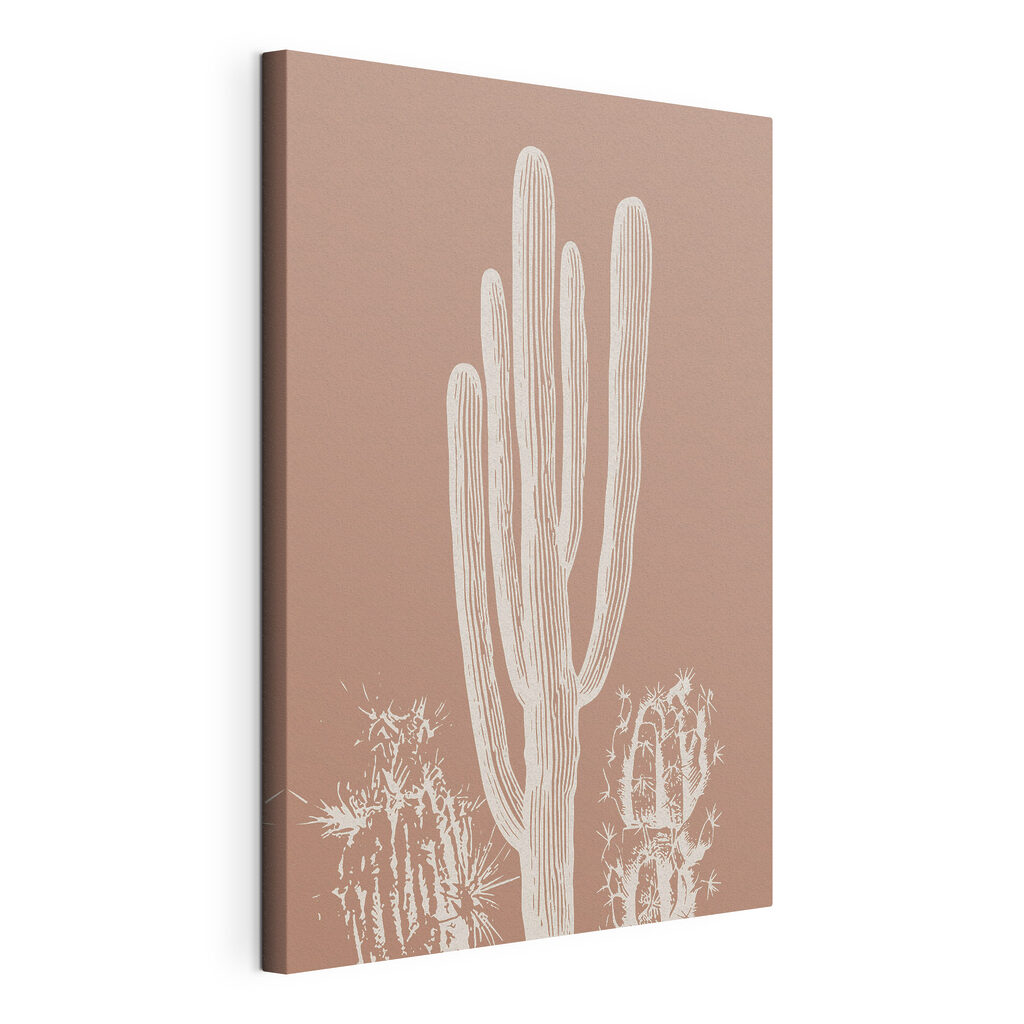 Cactus with white lines Cactus with white lines