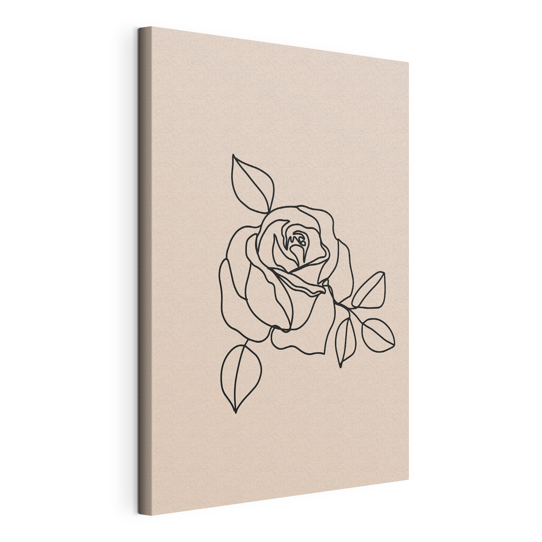 Drawing of a rose Drawing of a rose