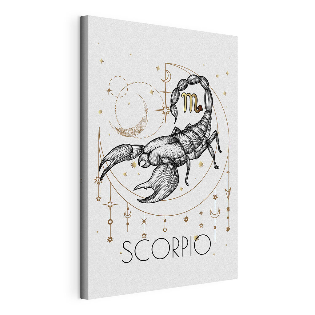 A drawing of a scorpion