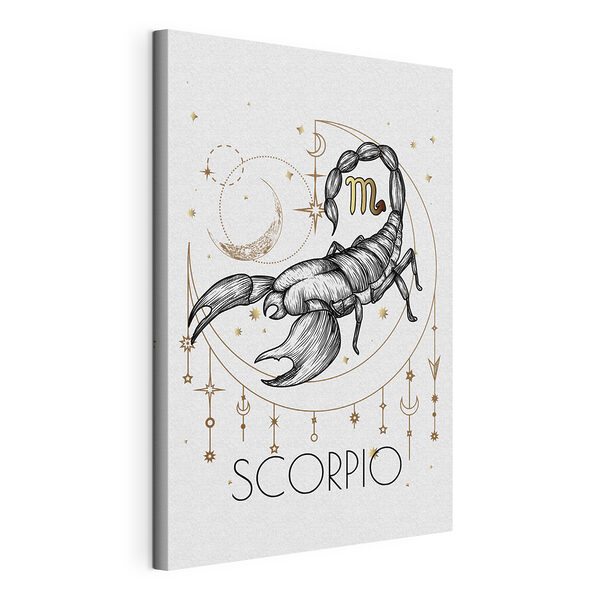 Cuadros Un dibujo de un escorpión (SKU: s36648) Cuadros Cuadros Un dibujo de un escorpión (SKU: s36648)