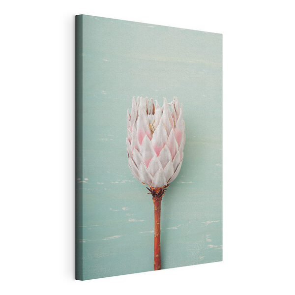 Cuadros Una flor en un tallo (SKU: s36695) Cuadros Cuadros Una flor en un tallo (SKU: s36695)