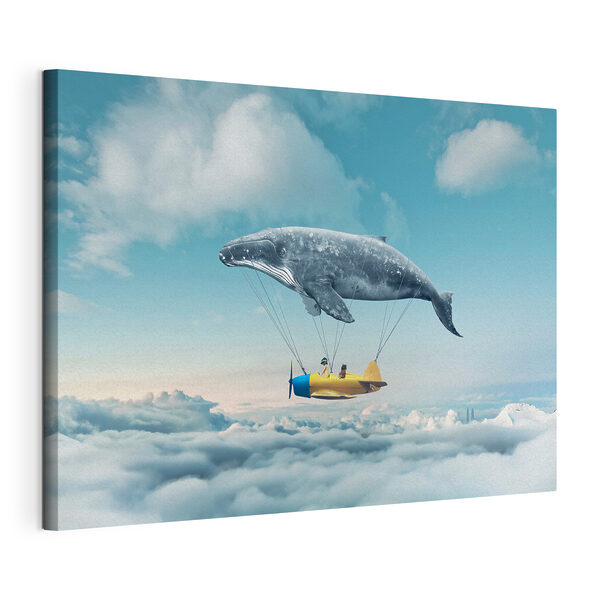 Cuadros Una ballena y una ballena atada a una avioneta (SKU: s36701) Cuadros Cuadros Una ballena y una ballena atada a una avioneta (SKU: s36701)