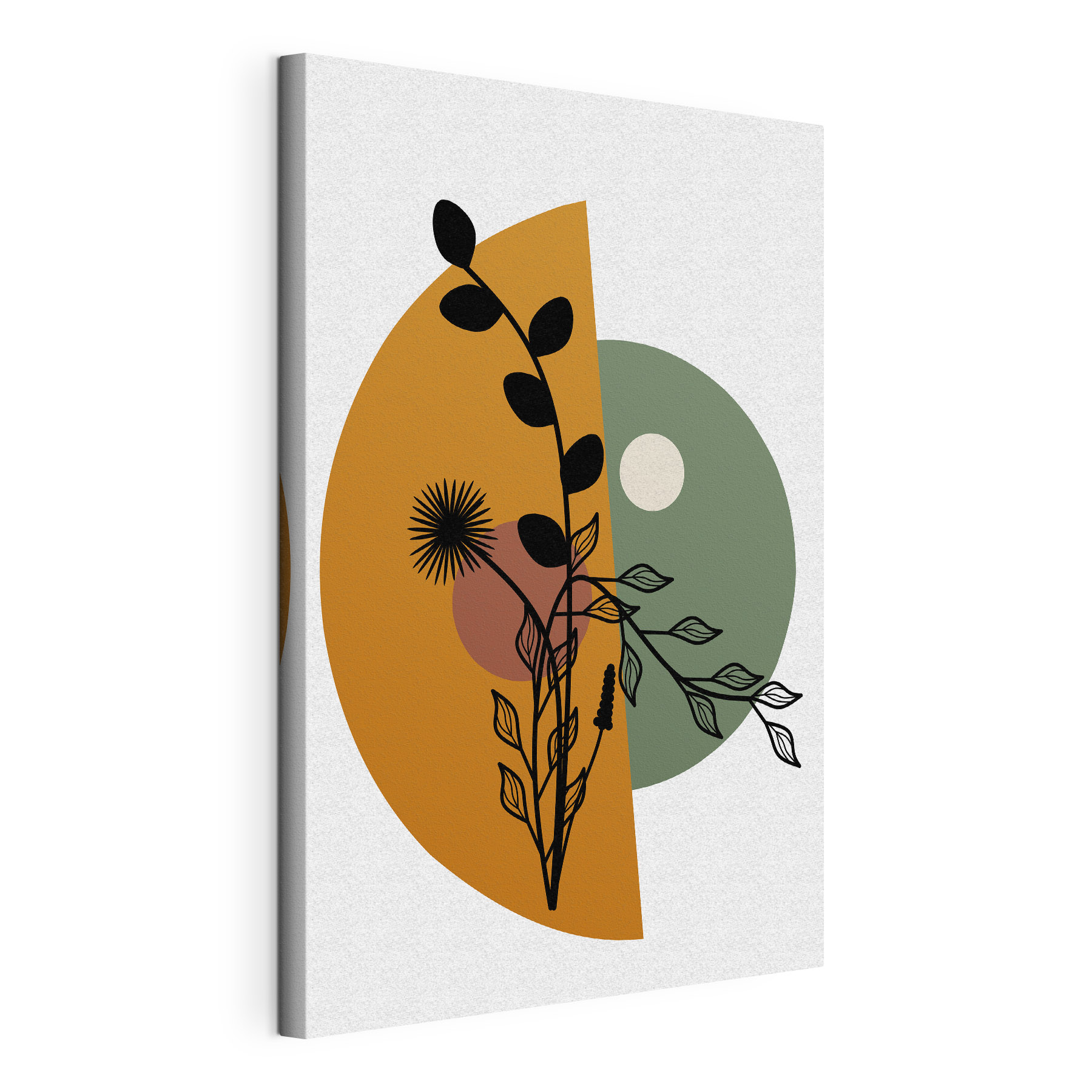 A plant with leaves and a flower A plant with leaves and a flower