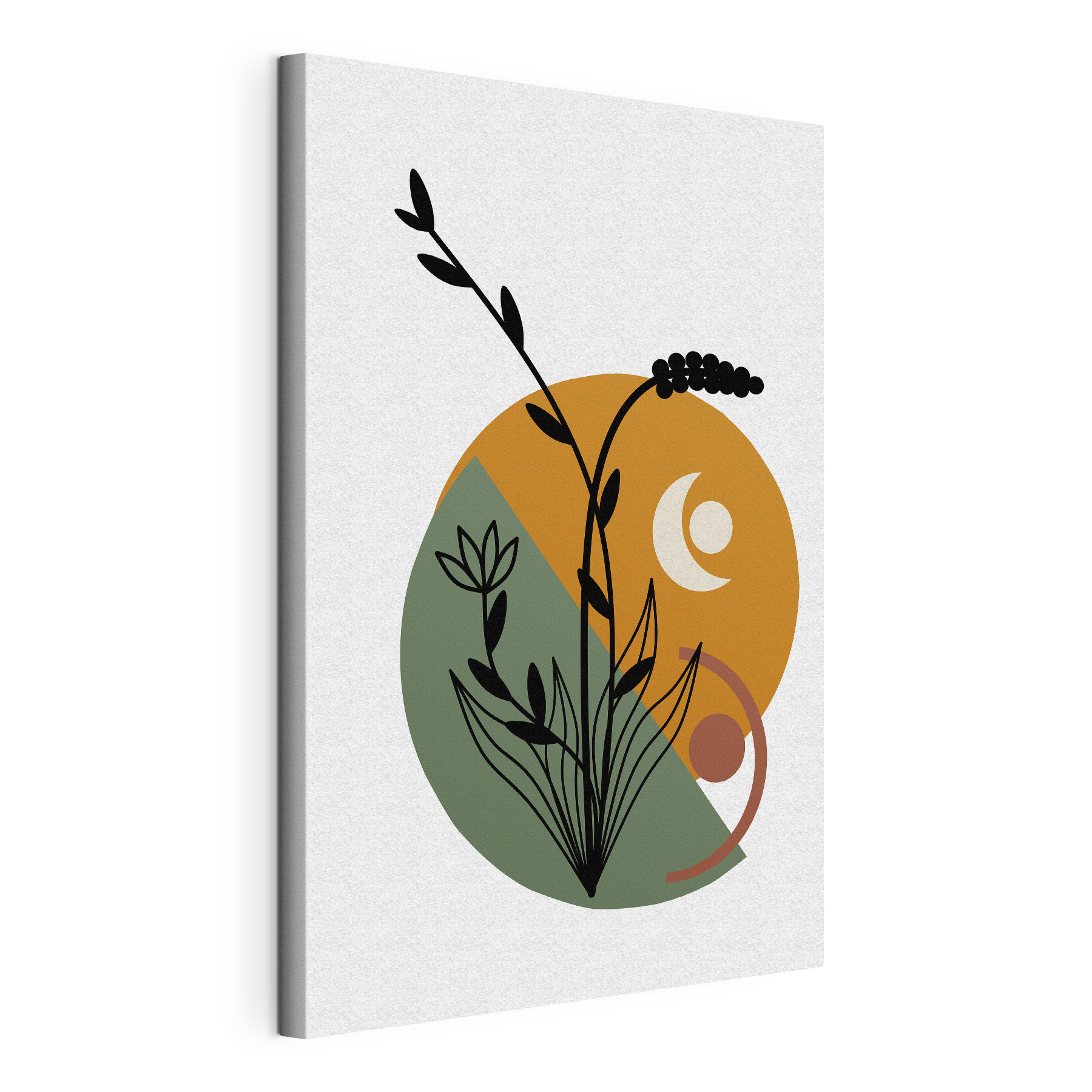 A flower with leaves and a circle A flower with leaves and a circle