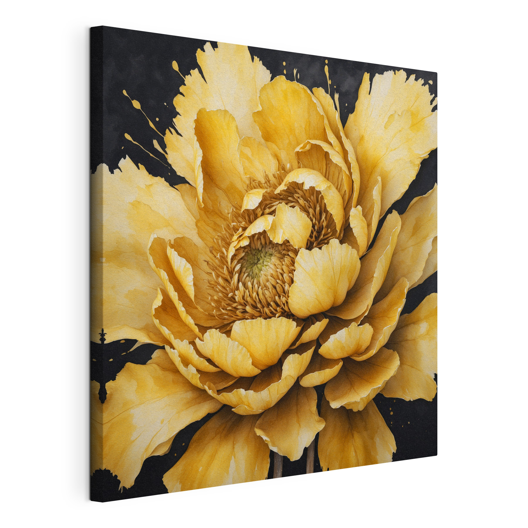 Radiant bloom in vibrant hues