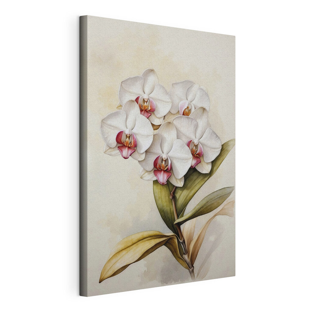 A painting of a white orchid A painting of a white orchid