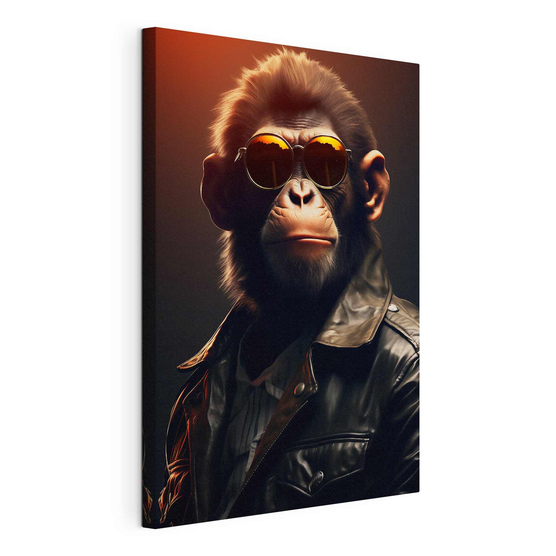 Cool monkey in stylish sunglasses Cool monkey in stylish sunglasses