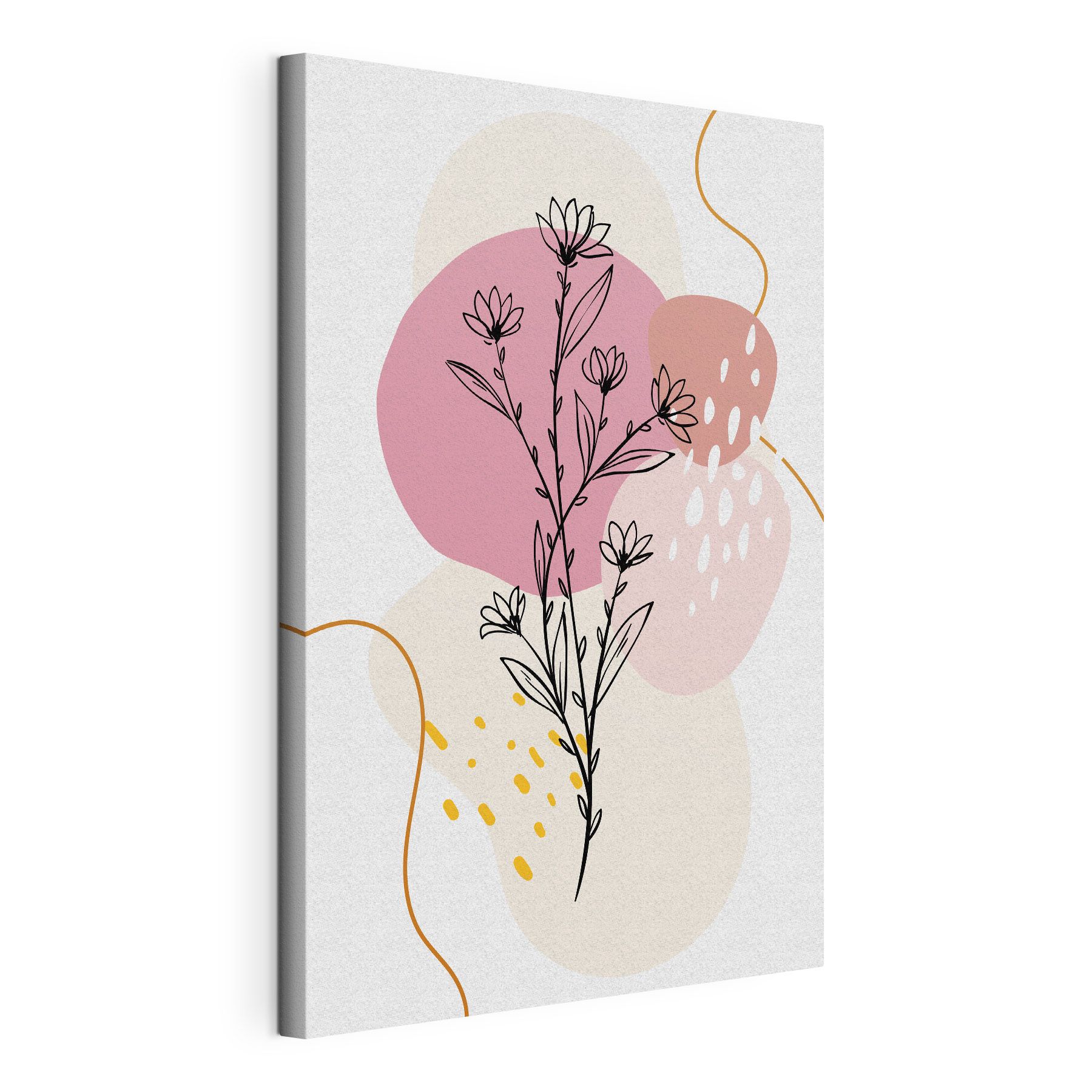 A drawing of a plant