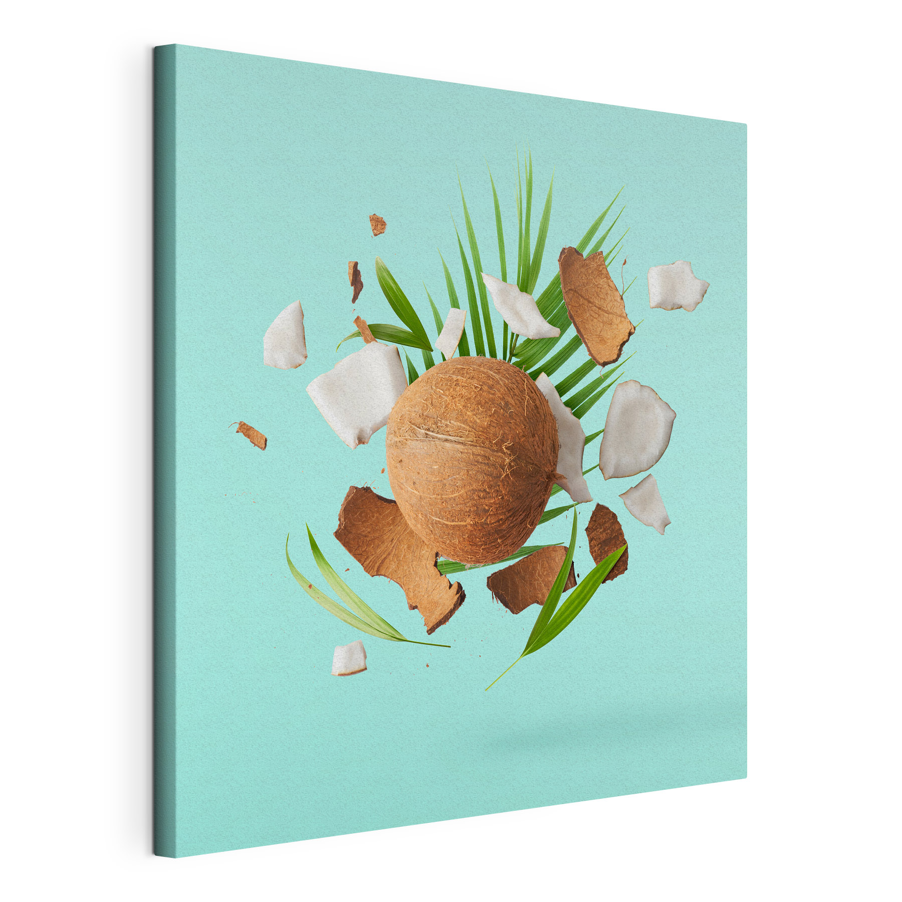 A coconut and palm leaves A coconut and palm leaves