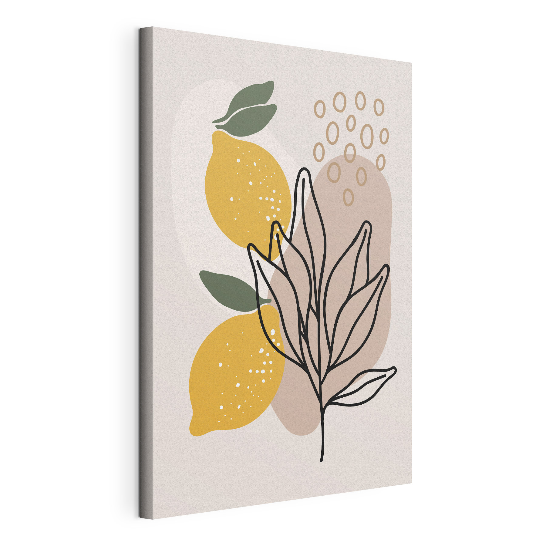 A lemons and leaves drawn on a white background A lemons and leaves drawn on a white background