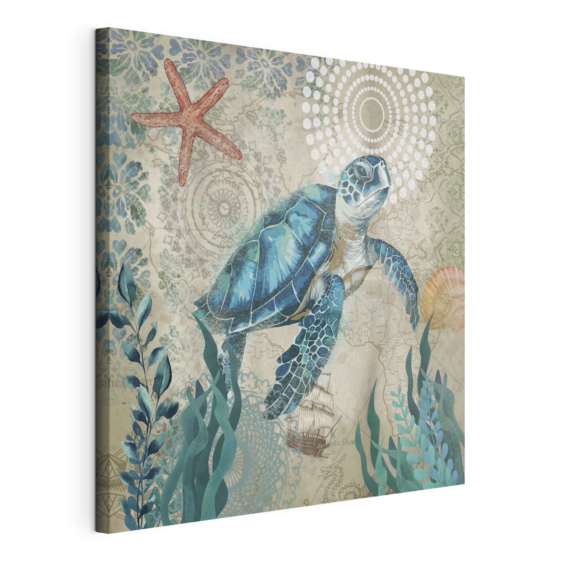 A blue sea turtle swimming in the ocean A blue sea turtle swimming in the ocean