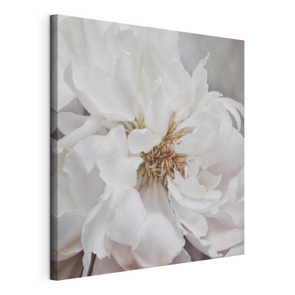 Delicate petals of pure elegance