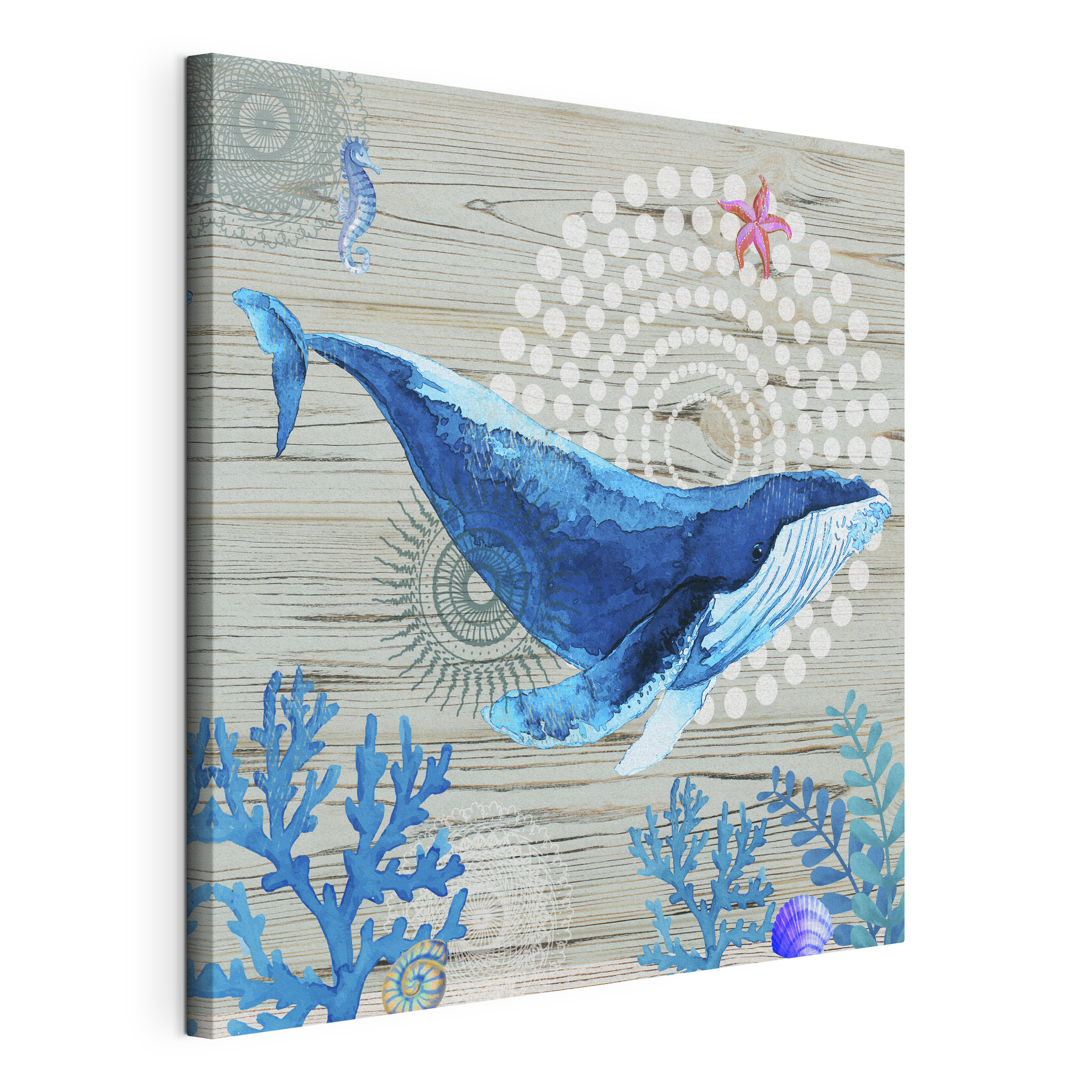 A blue whale and seaweed A blue whale and seaweed