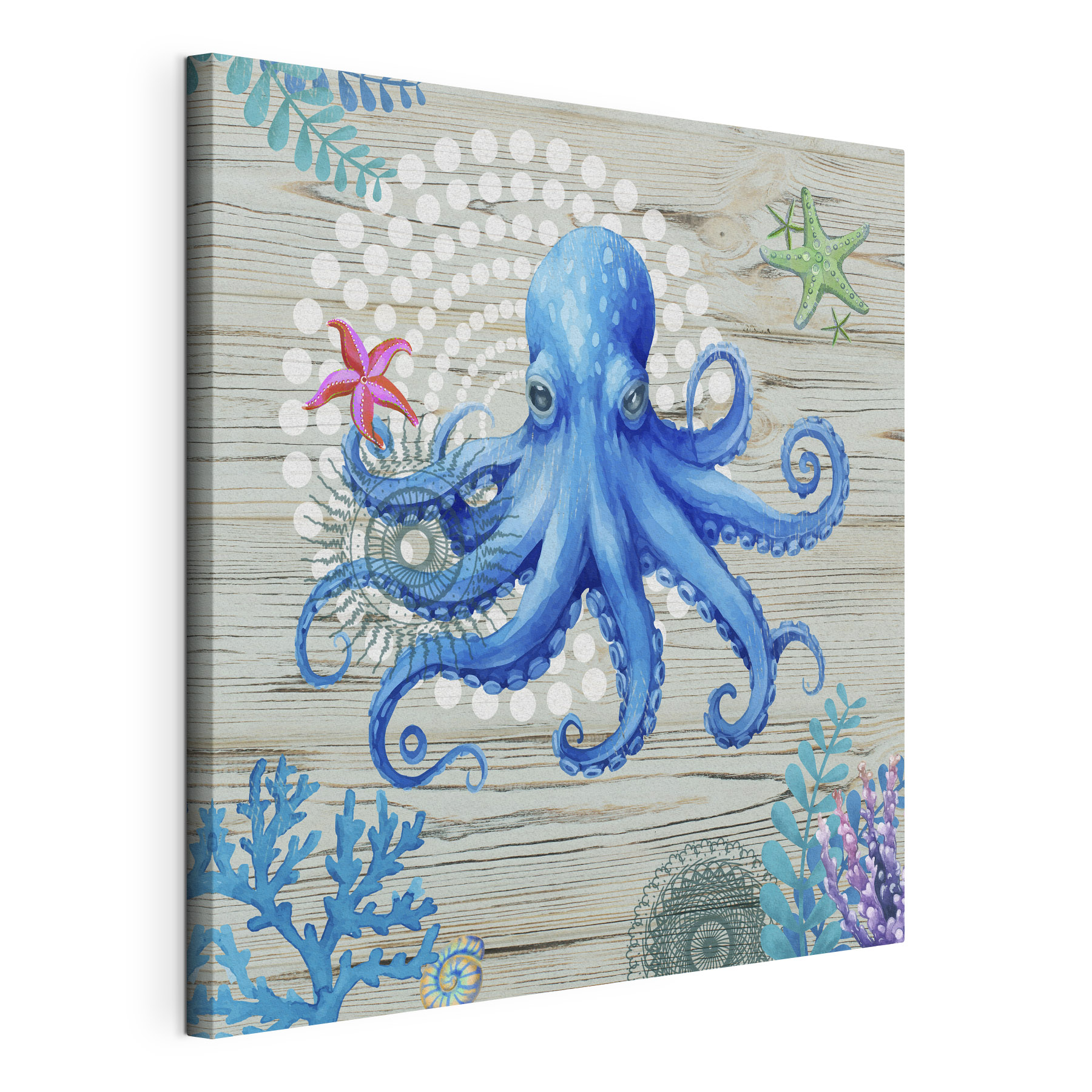 A blue octopus with starfish and corals A blue octopus with starfish and corals