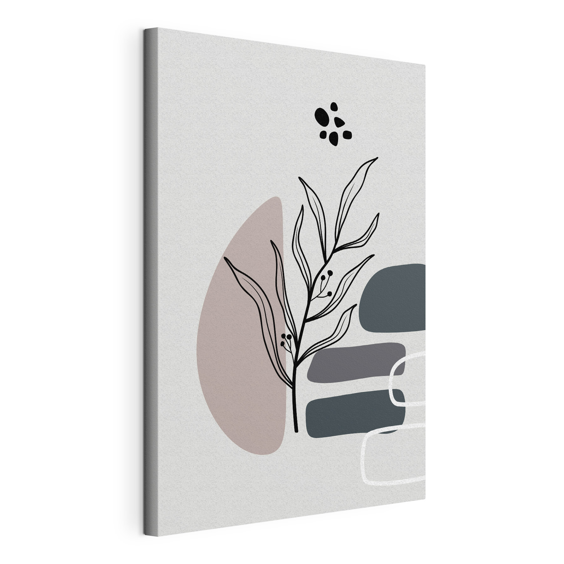 A plant with leaves and geometric shapes