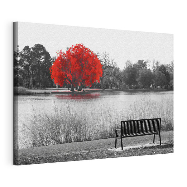 Cuadros Cuadros Un banco junto a un lago con un árbol rojo (SKU: s37300)