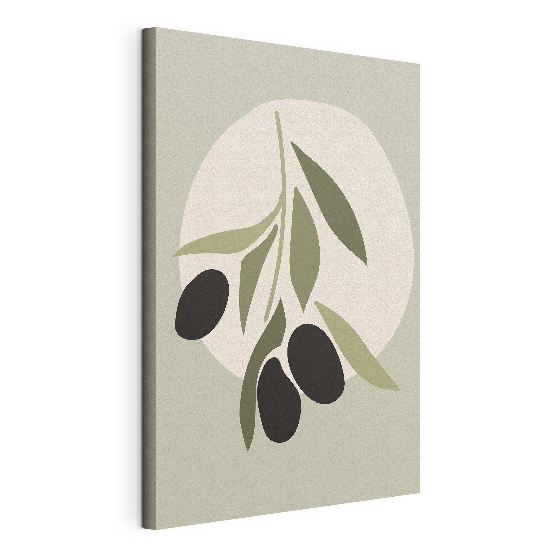 A black olives on a branch A black olives on a branch