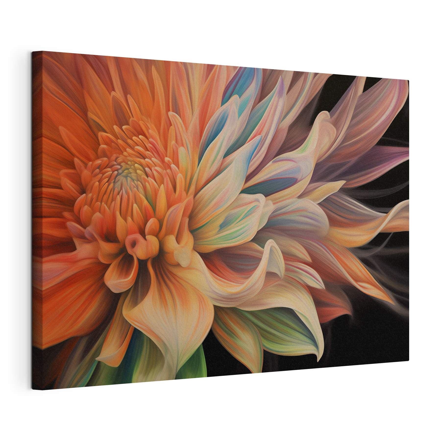 Vibrant petals in soft hues