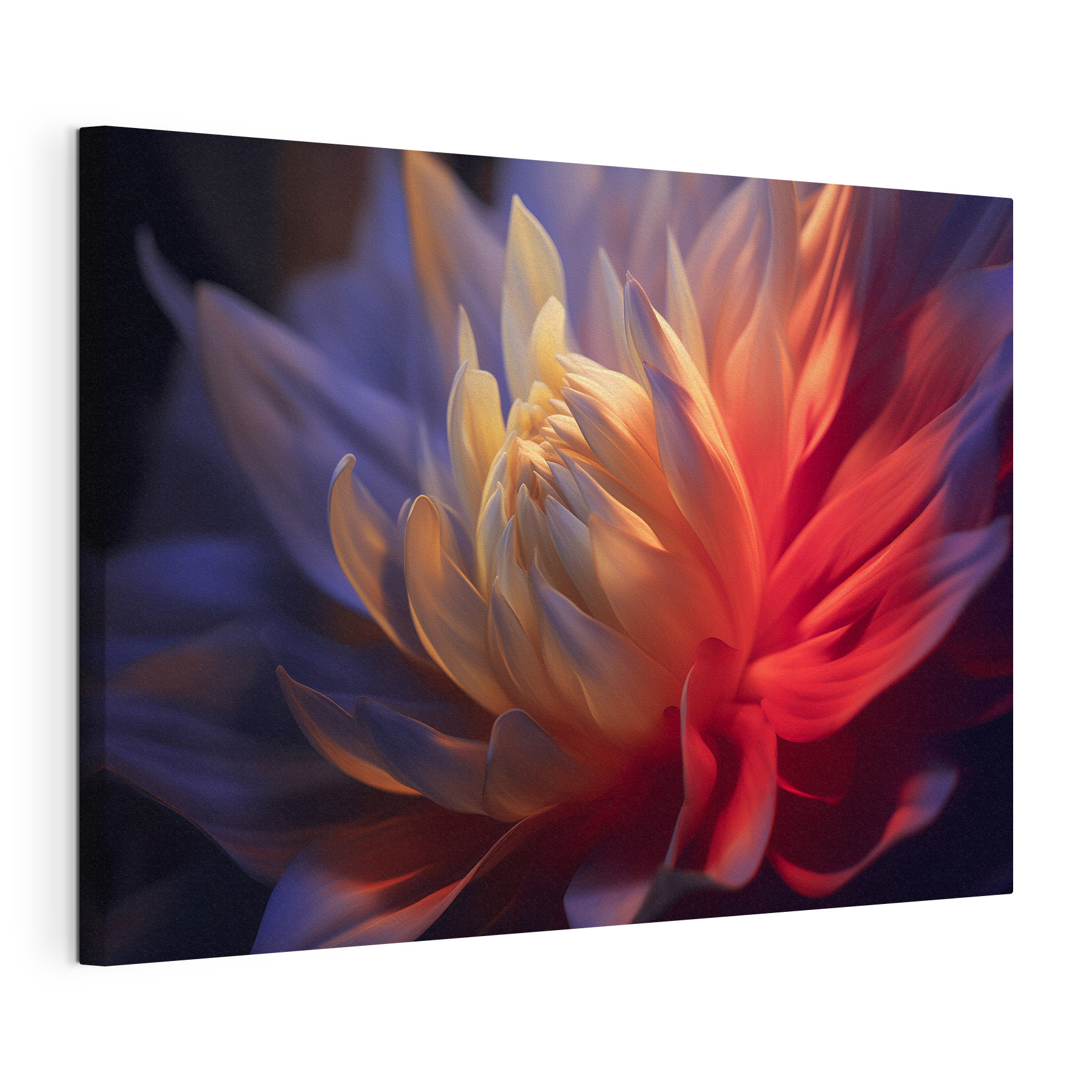 Radiant flower in soft hues