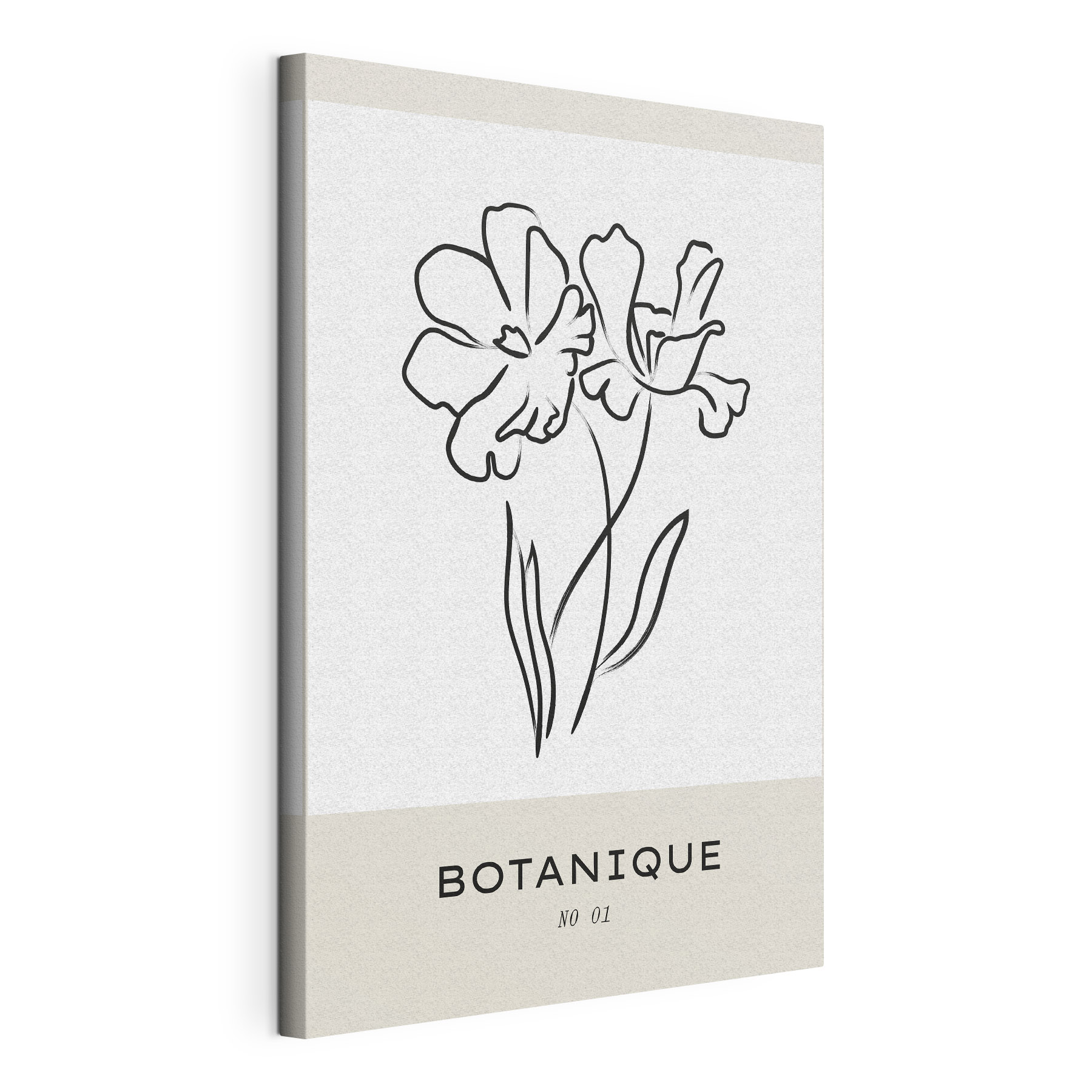 A drawing of flowers on a white background A drawing of flowers on a white background