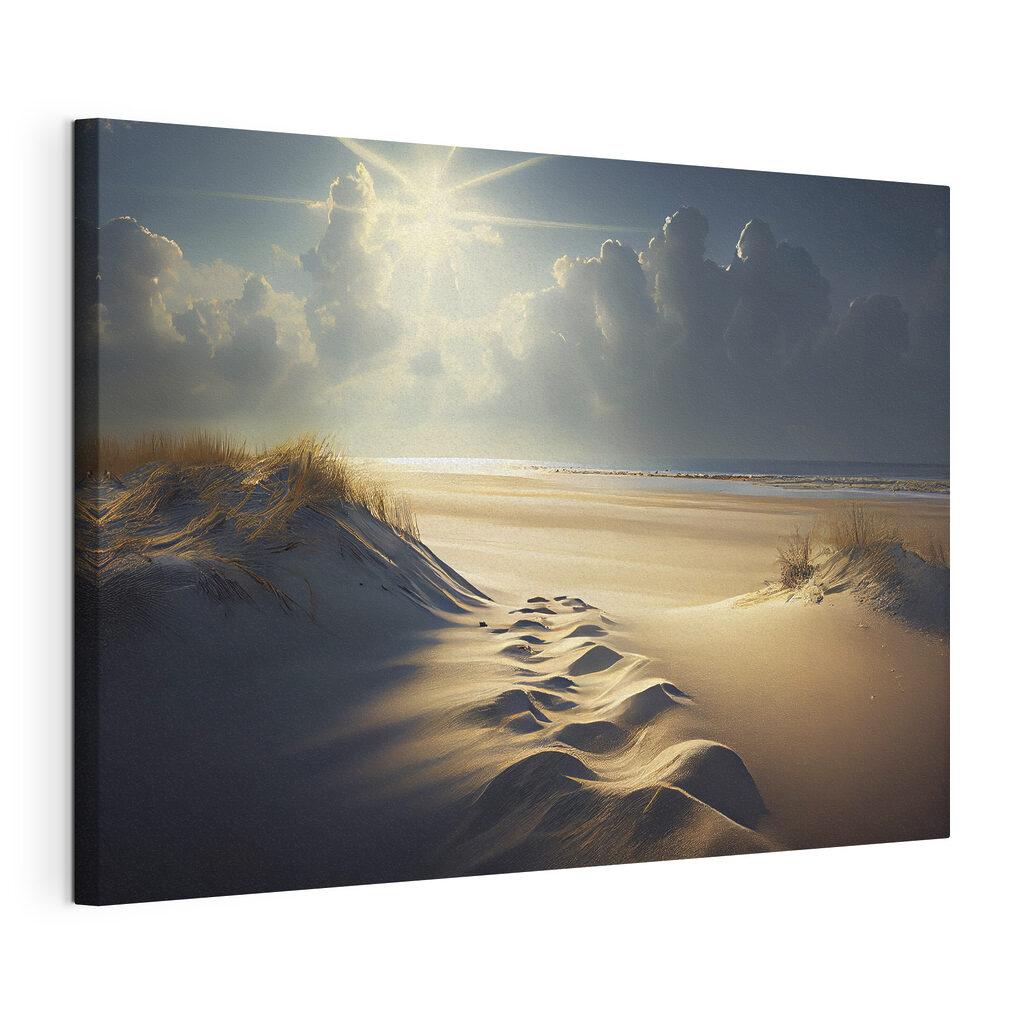A snow covered path in a desert