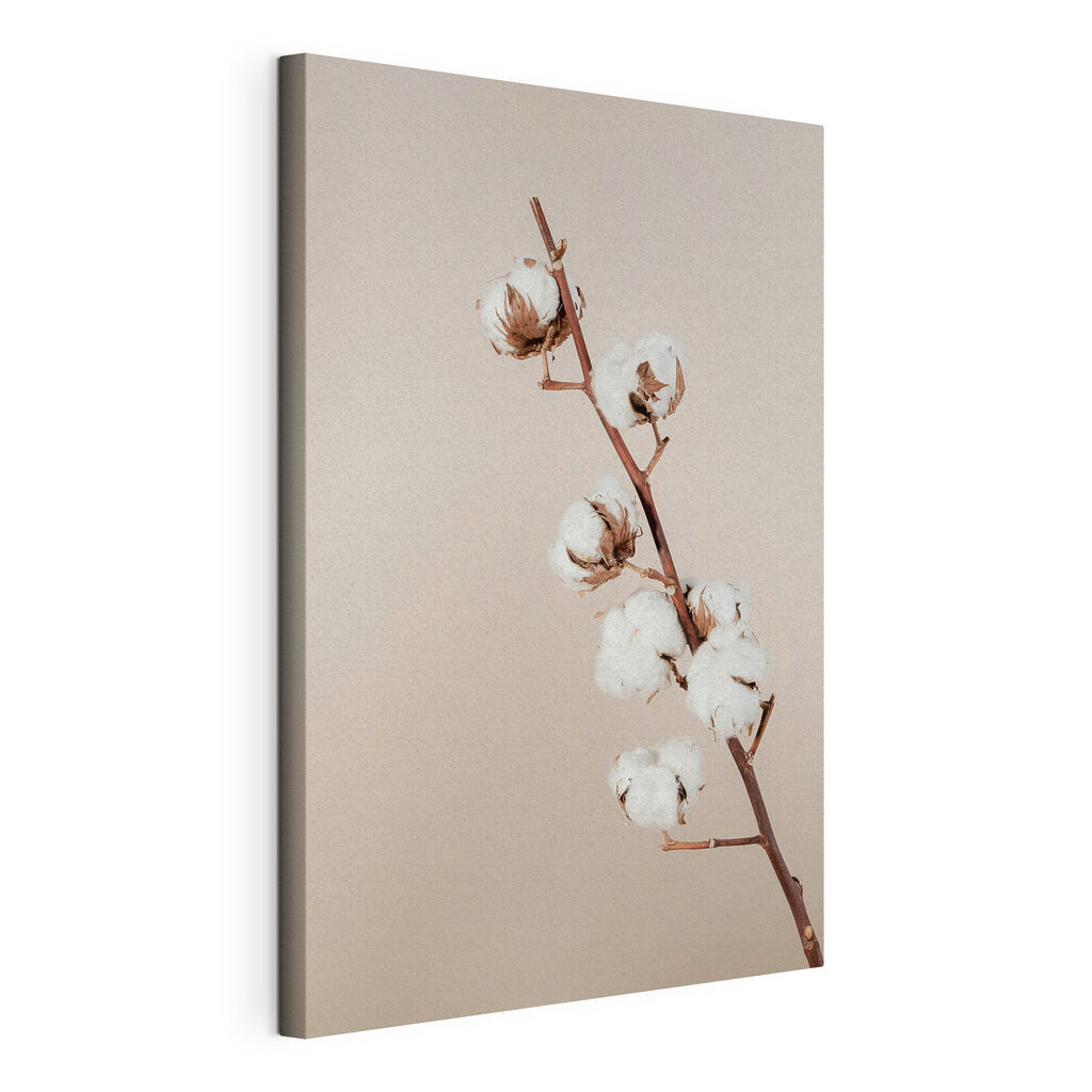 A cotton plant on a branch A cotton plant on a branch