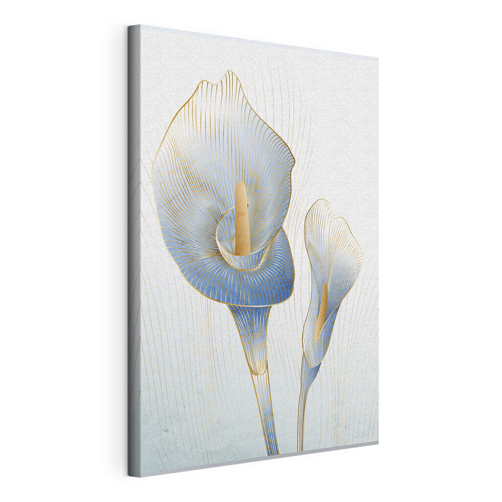 Elegant blue calla lilies in bloom Elegant blue calla lilies in bloom