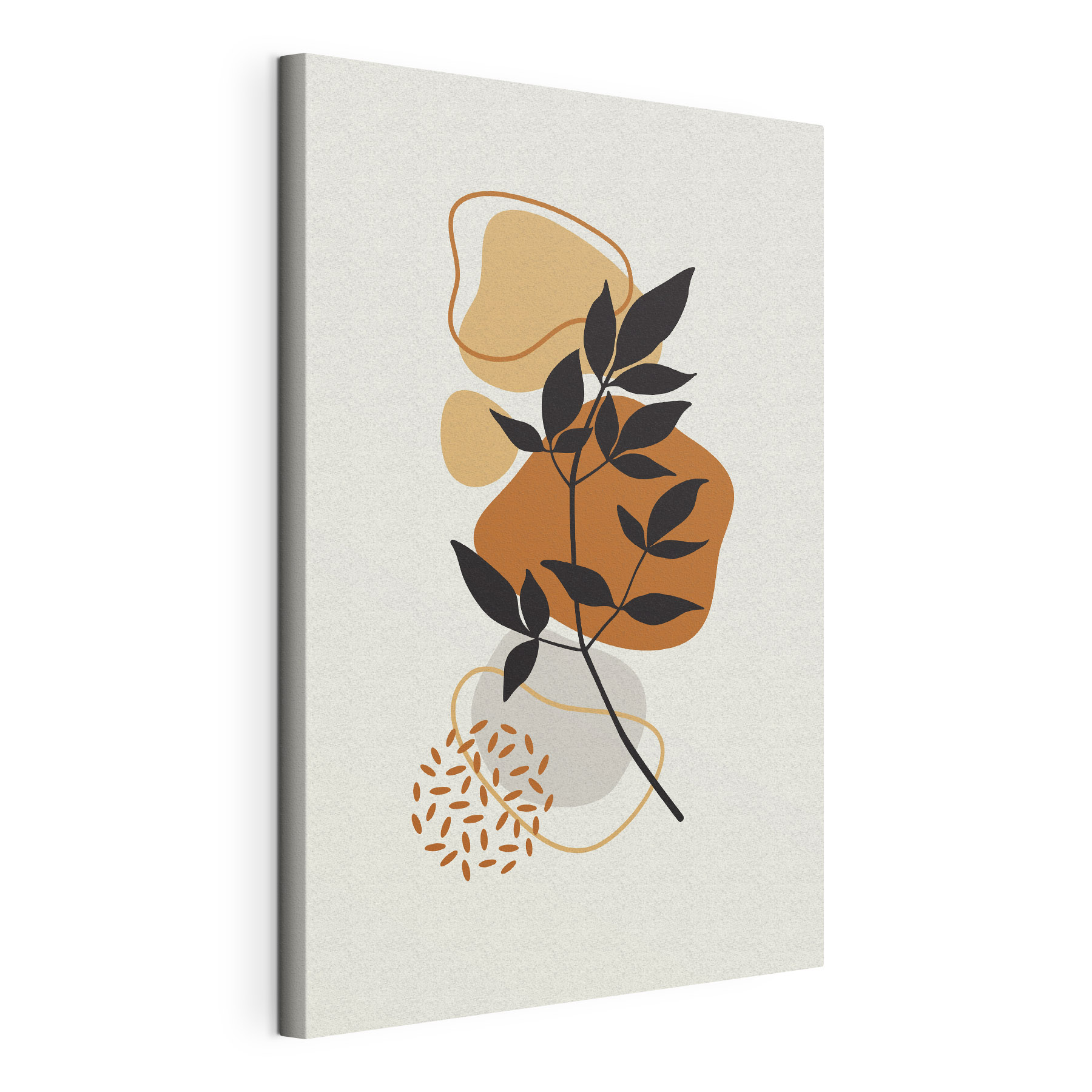 A plant with leaves and brown shapes A plant with leaves and brown shapes
