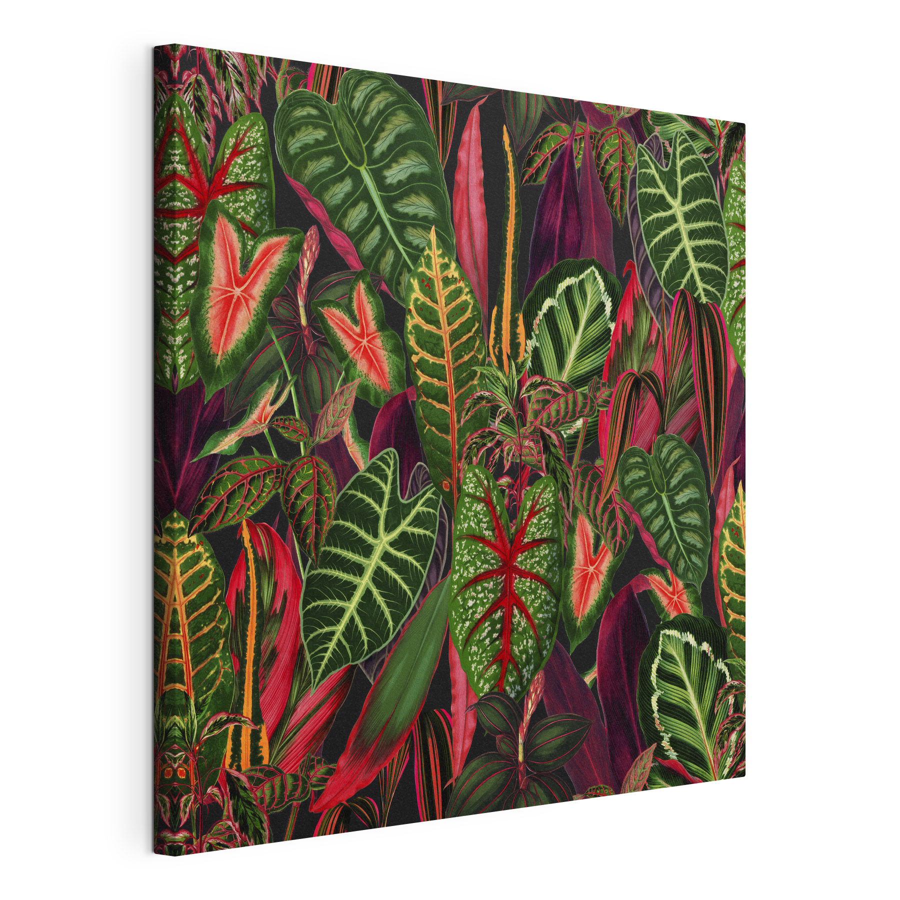 Vibrant foliage in rich colors Vibrant foliage in rich colors