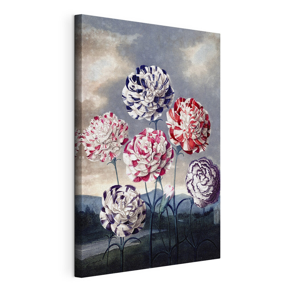 A group of flowers with blue sky and clouds A group of flowers with blue sky and clouds