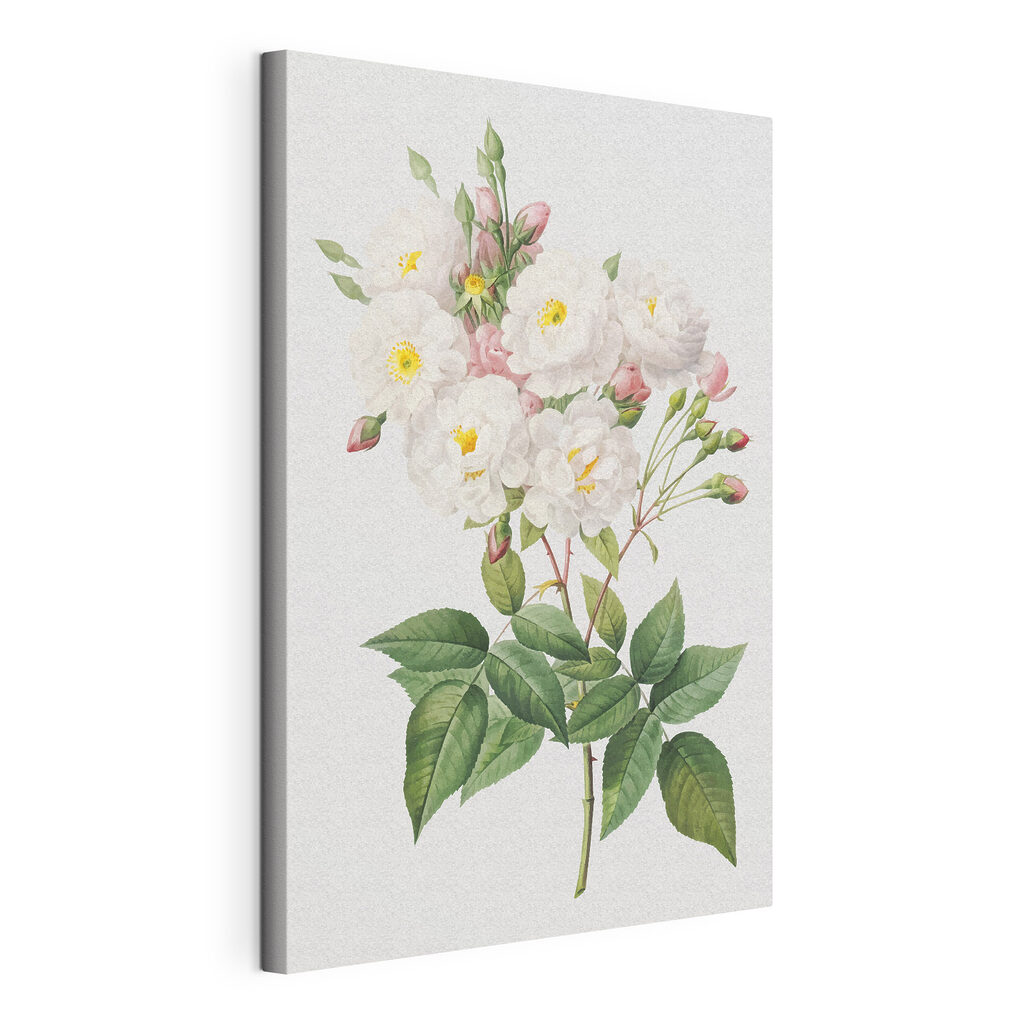 Delicate flowers in soft pastel hues Delicate flowers in soft pastel hues