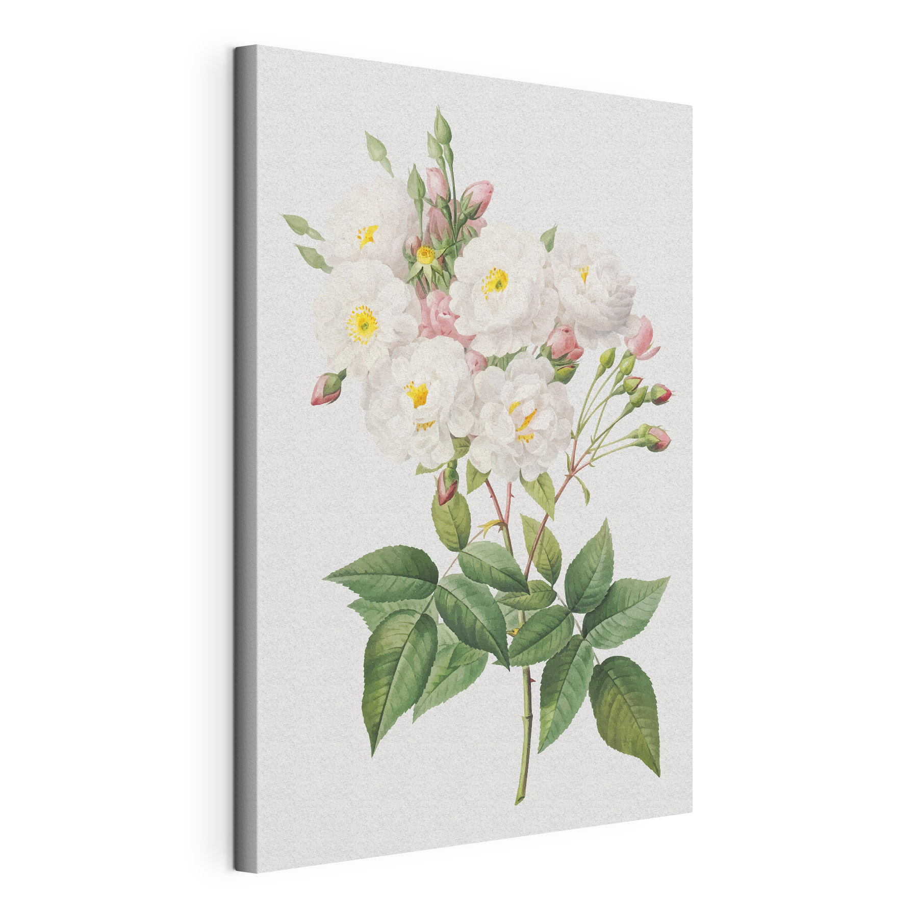 Delicate flowers in soft pastel hues Delicate flowers in soft pastel hues