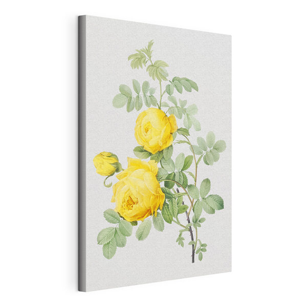 Cuadros Una flor amarilla en una rama (SKU: s37680) Cuadros Cuadros Una flor amarilla en una rama (SKU: s37680)