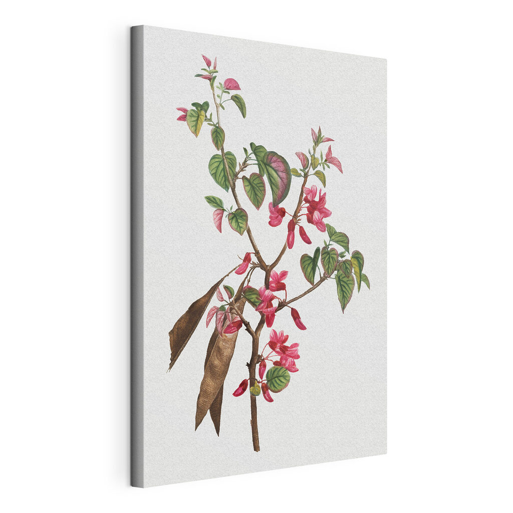 Colorful blossoms on vibrant green leaves Colorful blossoms on vibrant green leaves