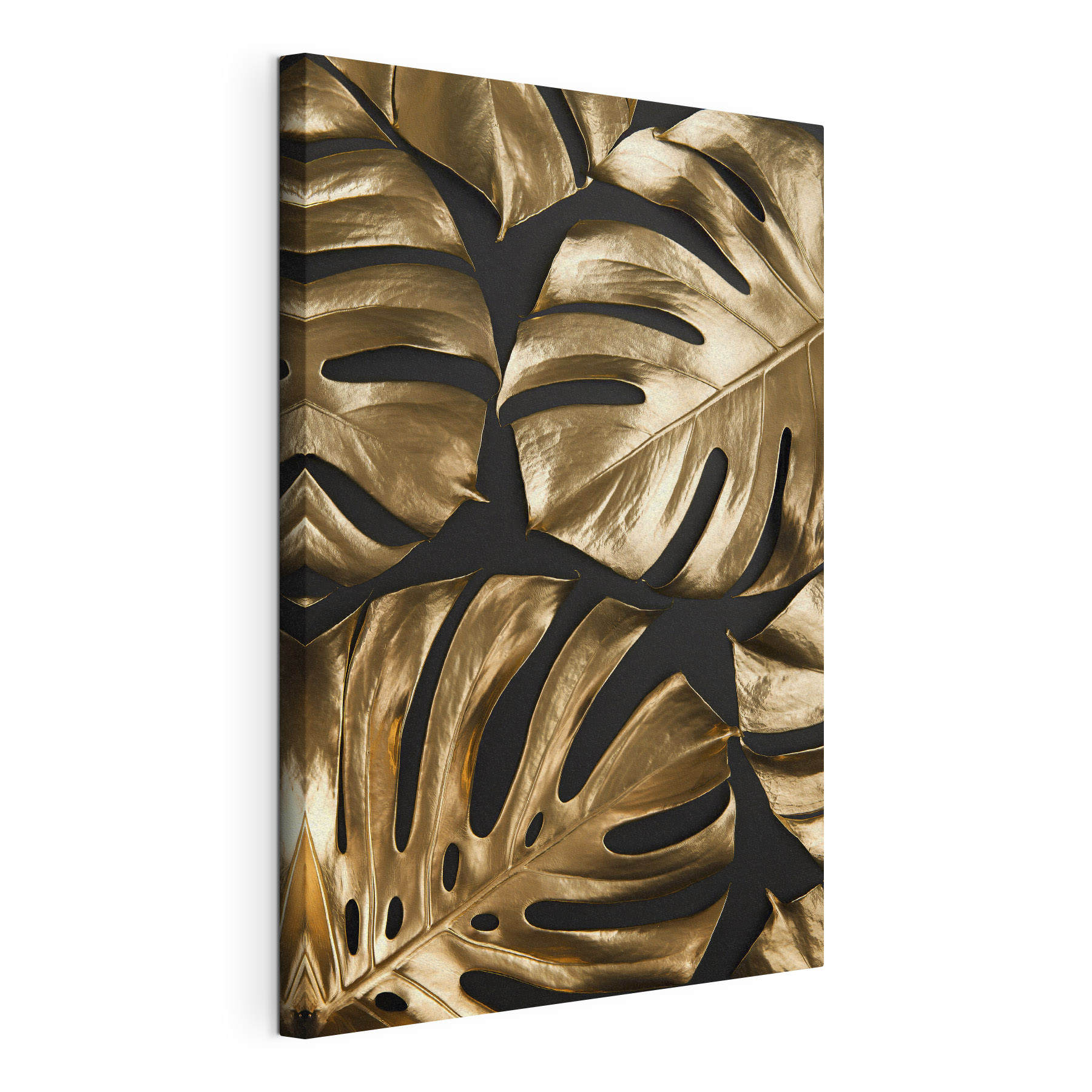 Elegant leaves on a dark background Elegant leaves on a dark background