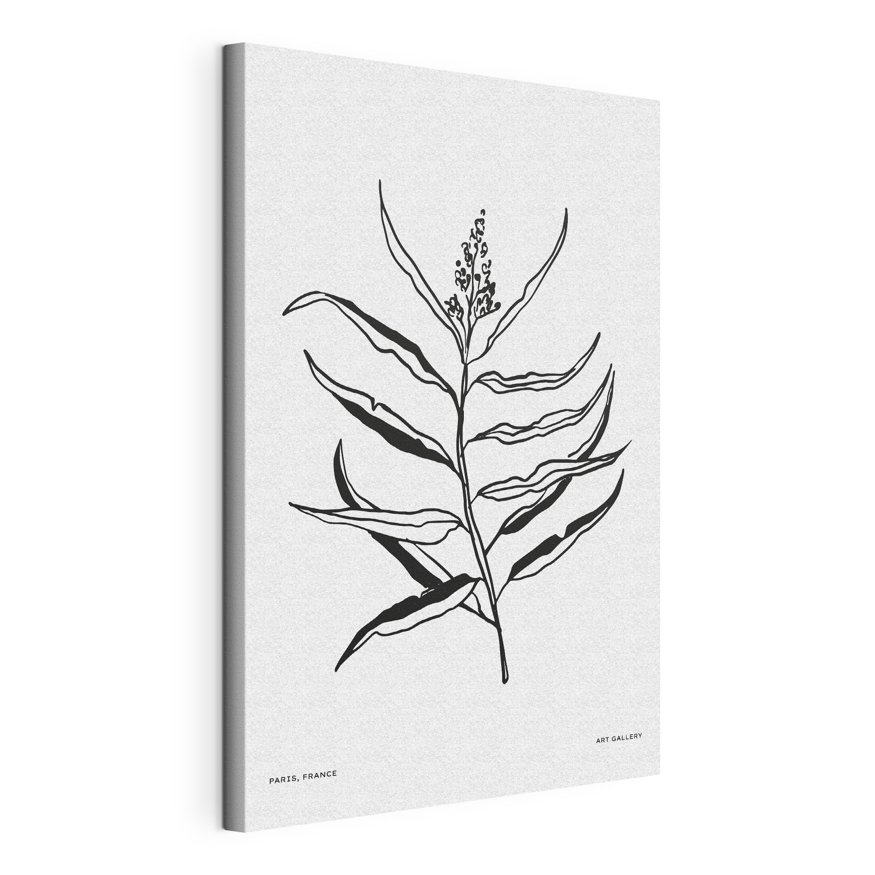 A black and white drawing of a plant A black and white drawing of a plant