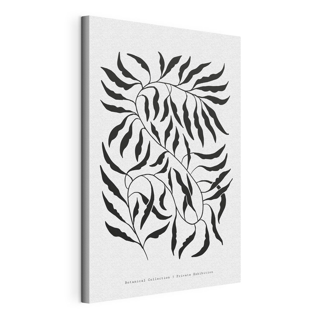A black and white drawing of leaves A black and white drawing of leaves
