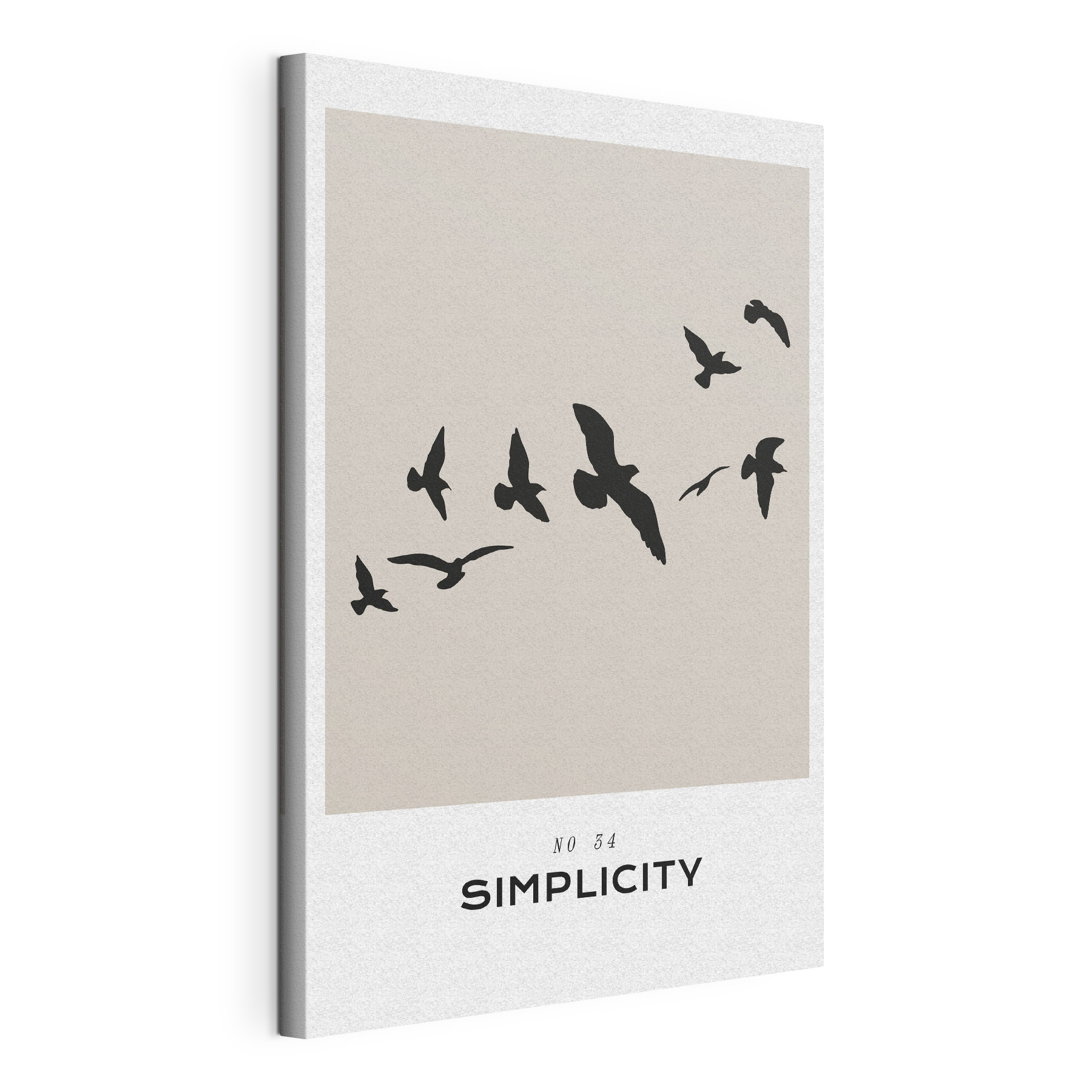 A flock of birds flying