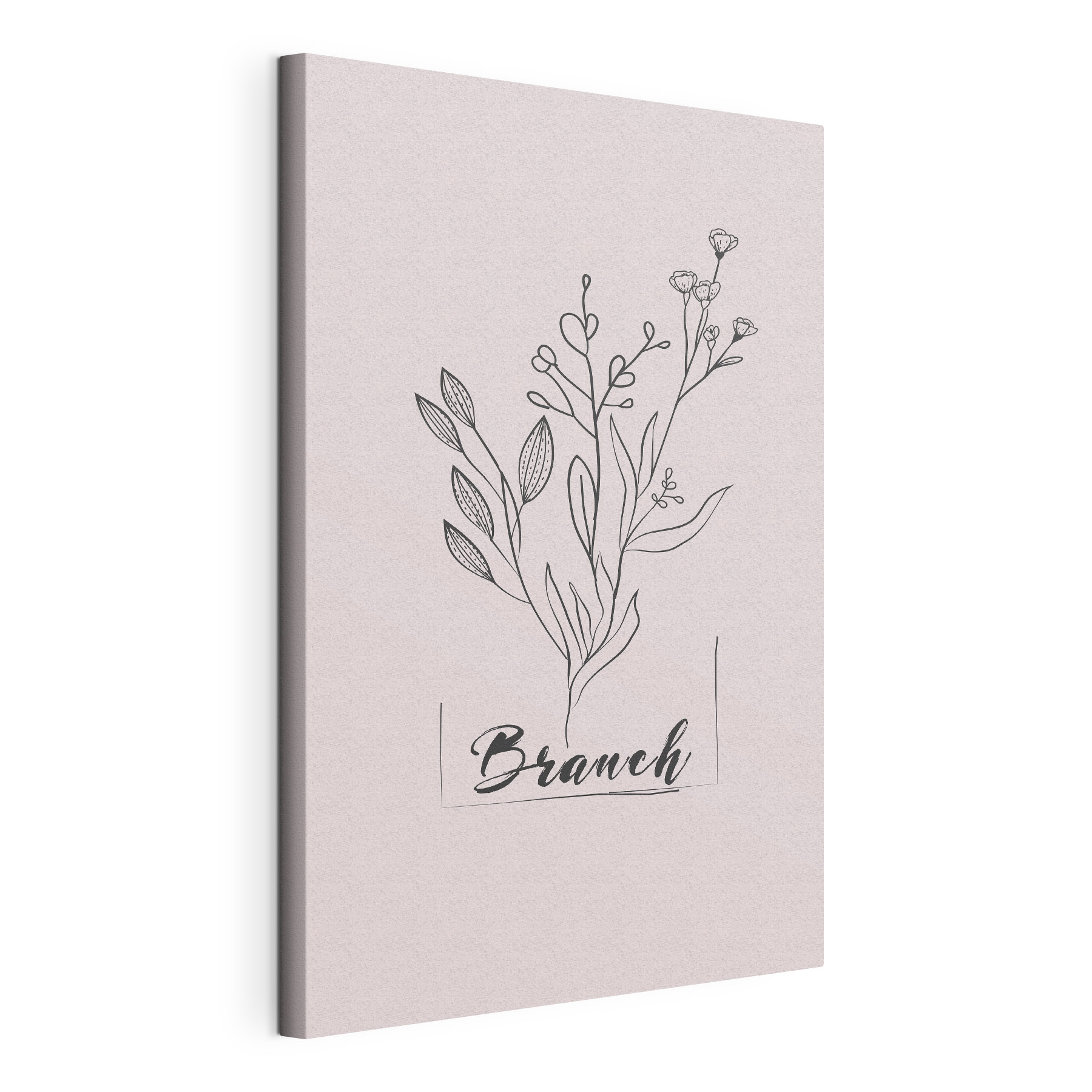A drawing of a plant
