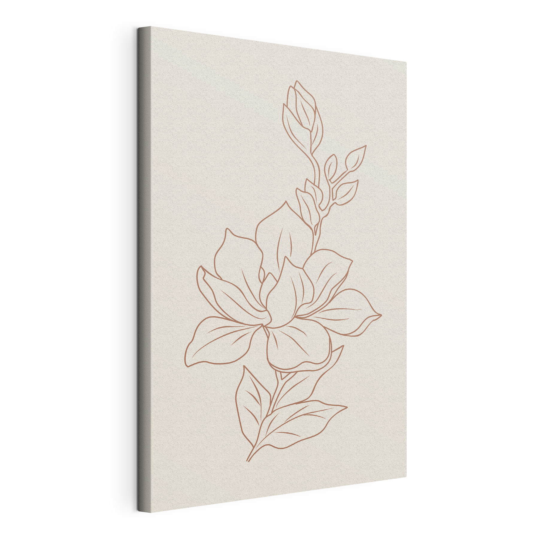 A drawing of a flower A drawing of a flower