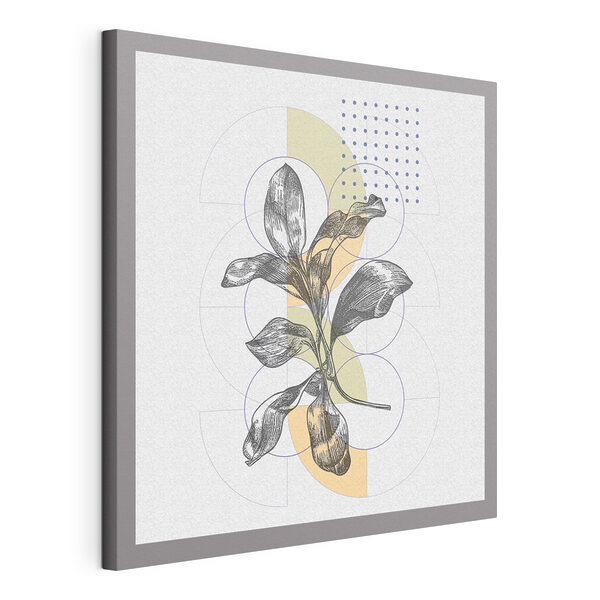 Cuadros Una planta con hojas sobre un fondo blanco (SKU: s38028) Cuadros Cuadros Una planta con hojas sobre un fondo blanco (SKU: s38028)