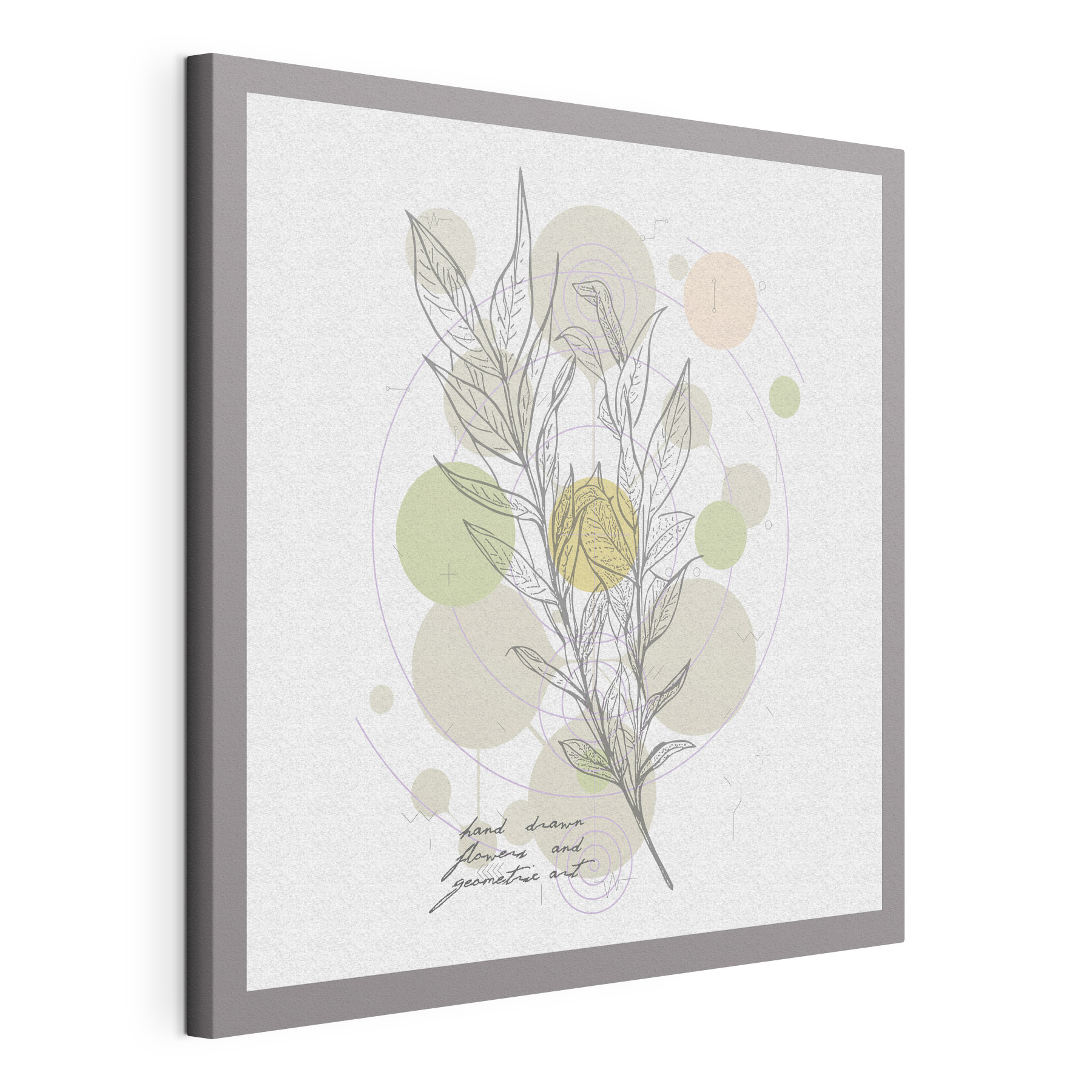 A drawing of a plant
